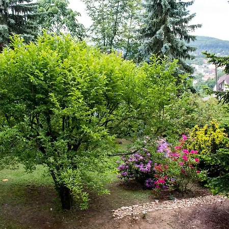 Napsugár Chalet