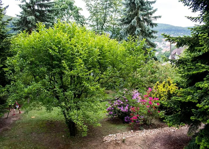 Napsugar Vendeghaz 木屋